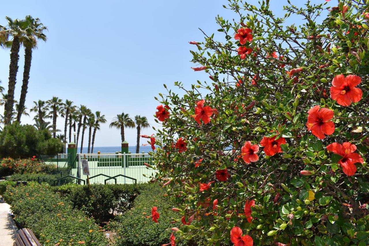 Fantastic Studio - Beachfront Apartment Torrox Exterior foto